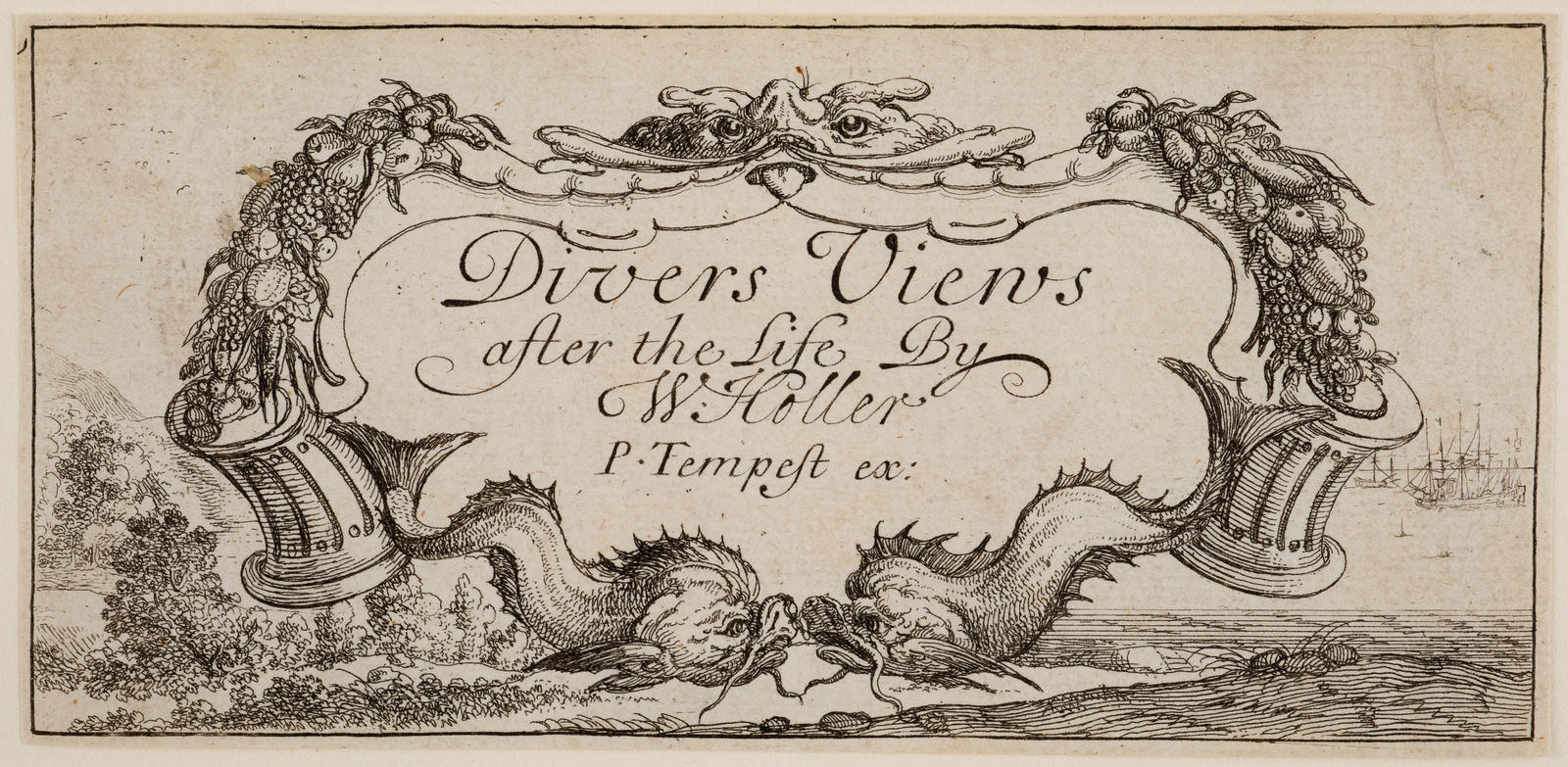 Title-page for 'Divers Views after the Life'