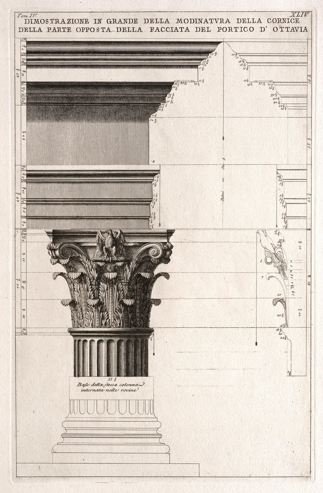Dimostrazione in grande della modinatura della cornice della parte opposta della facciata del Portico d'Ottavia (Reconstruction of the details of the molding on the cornice of the rear facade of the Portico of Octavia)