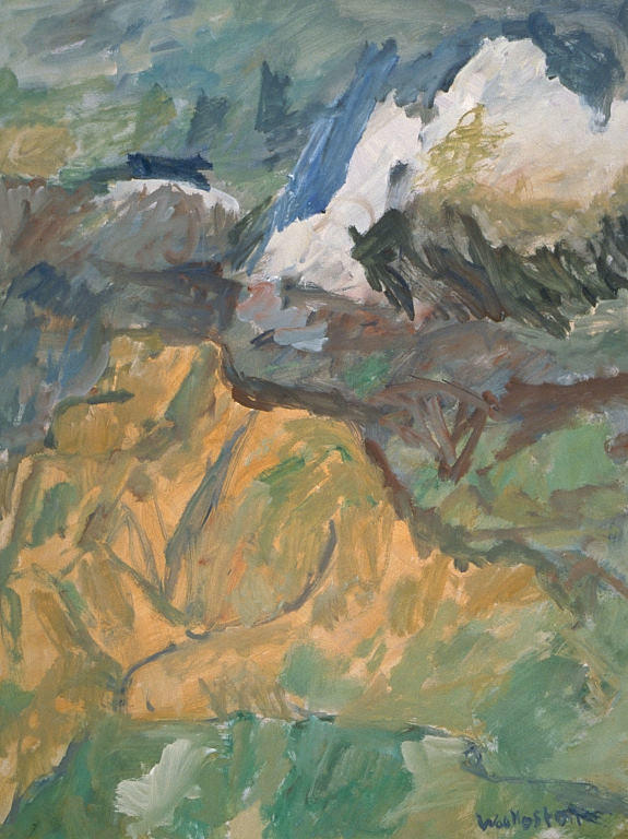 Taranaki Summer