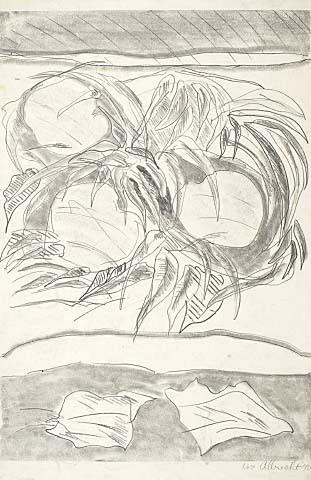 Drawing no. 7