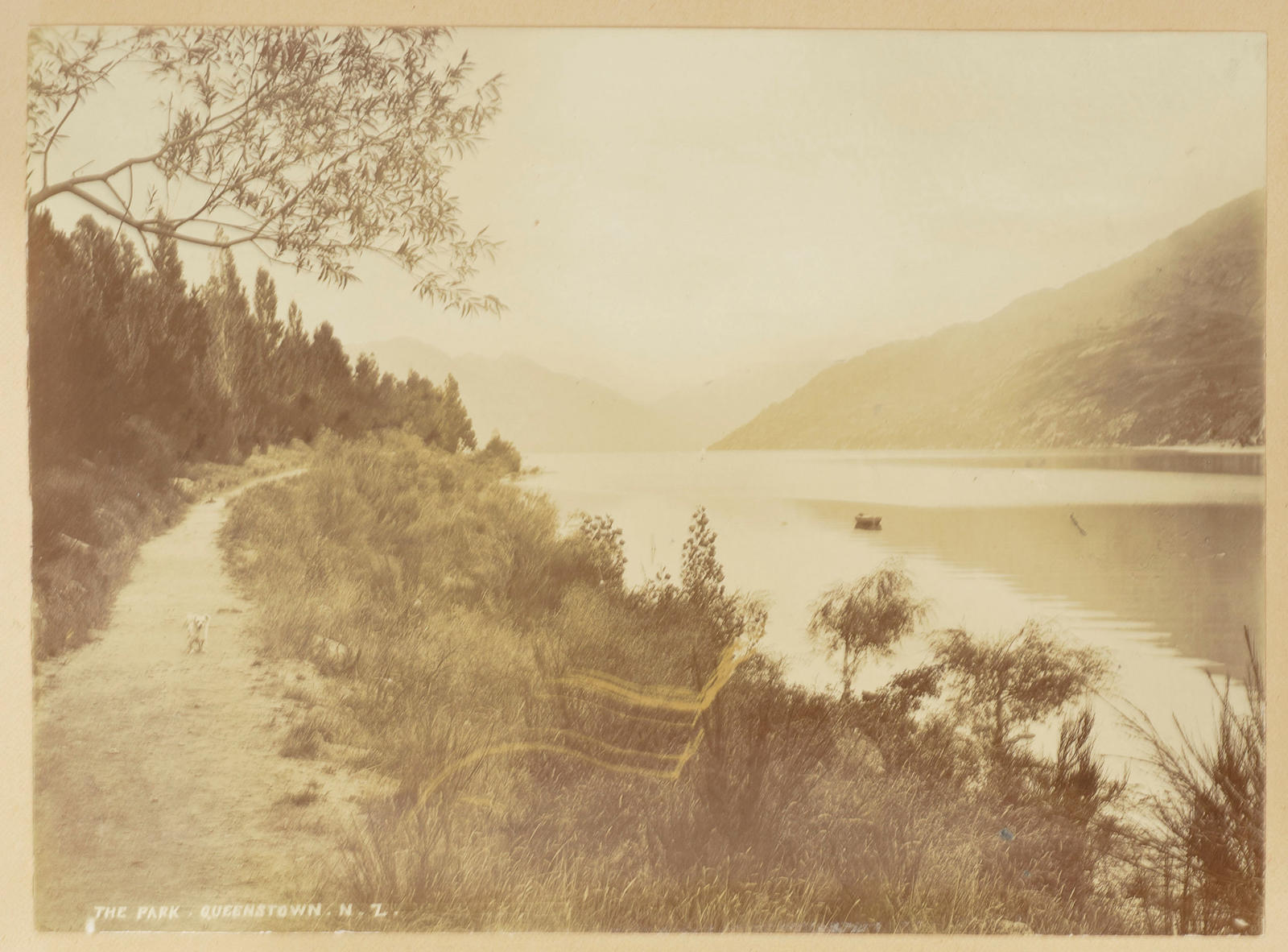 The park, Queenstown, New Zealand