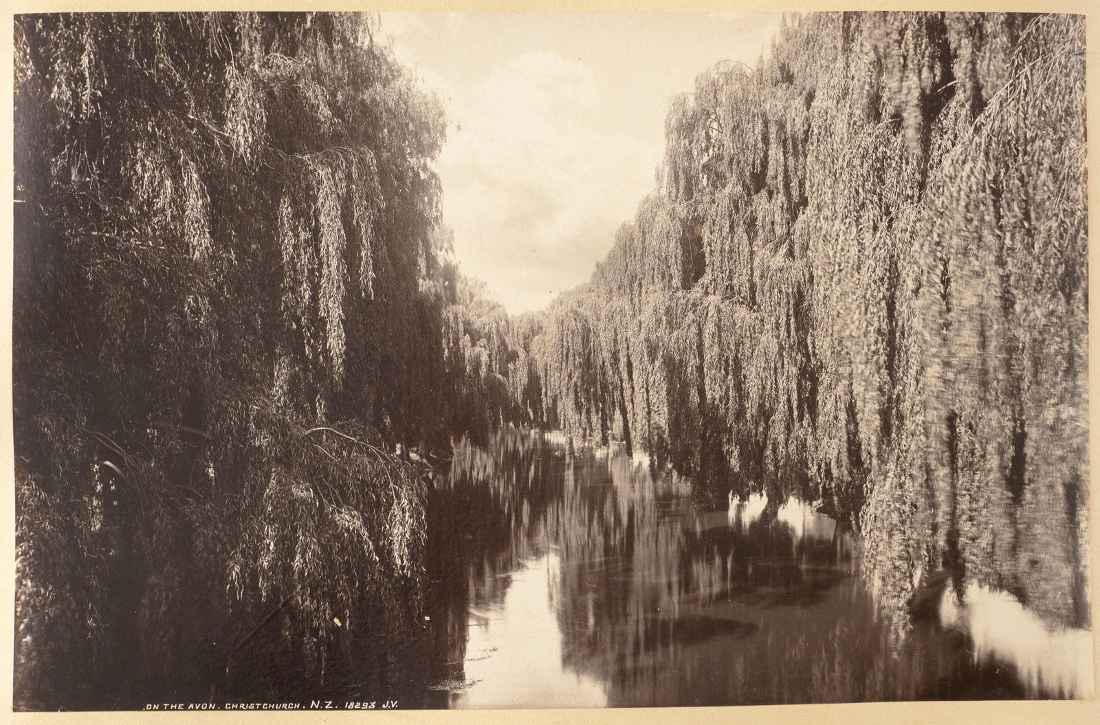 On the Avon, Christchurch, New Zealand