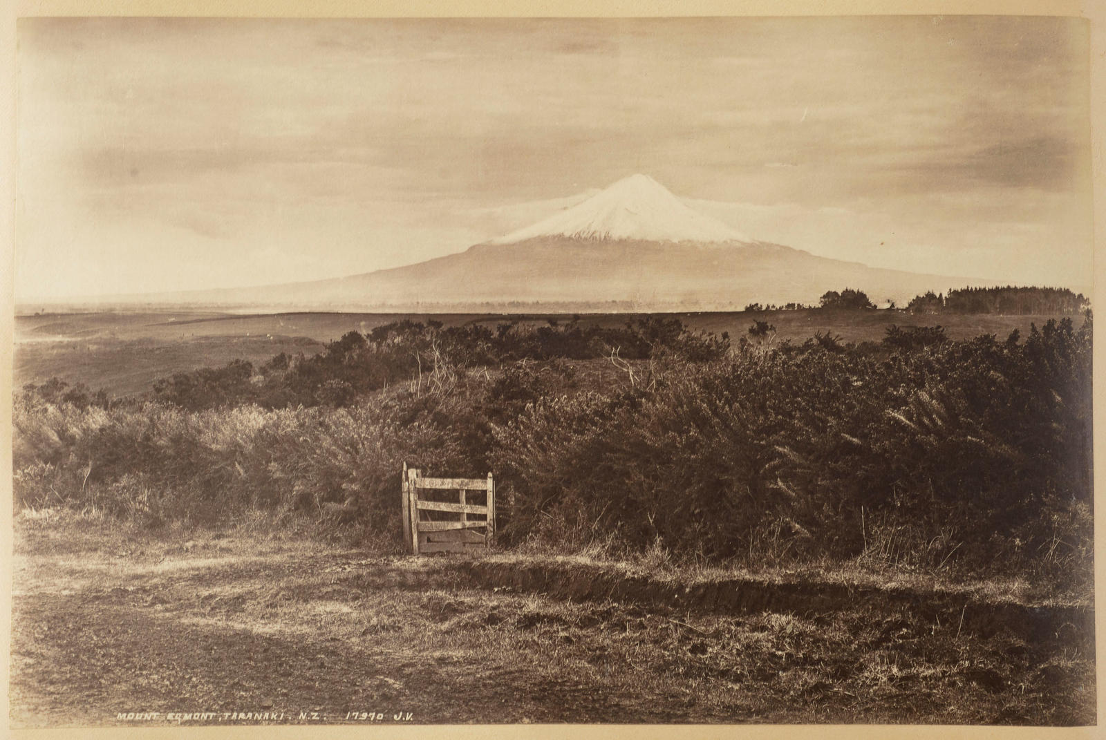 Mount Egmont, Taranaki