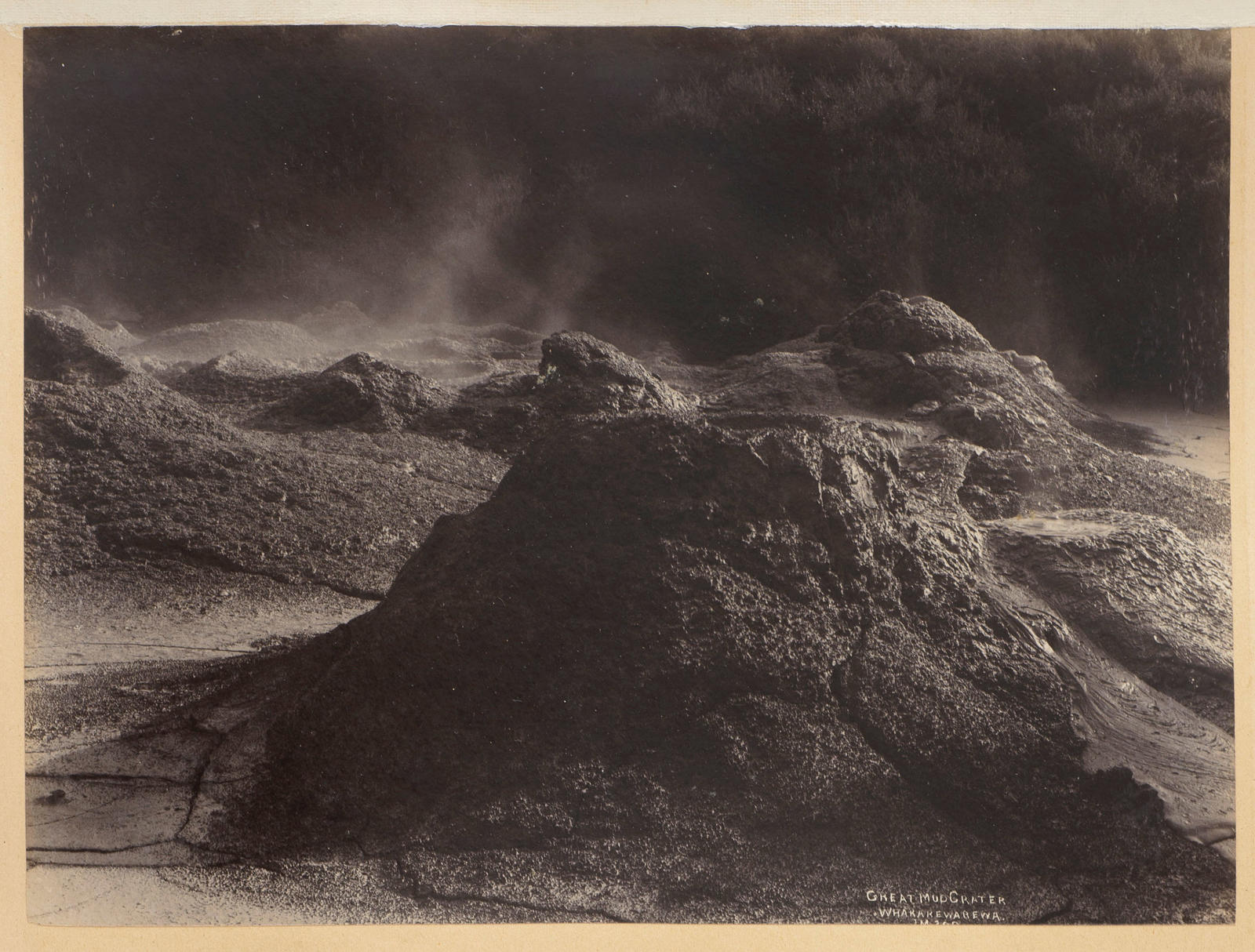 The Great Mud Crater, Whakarewarewa