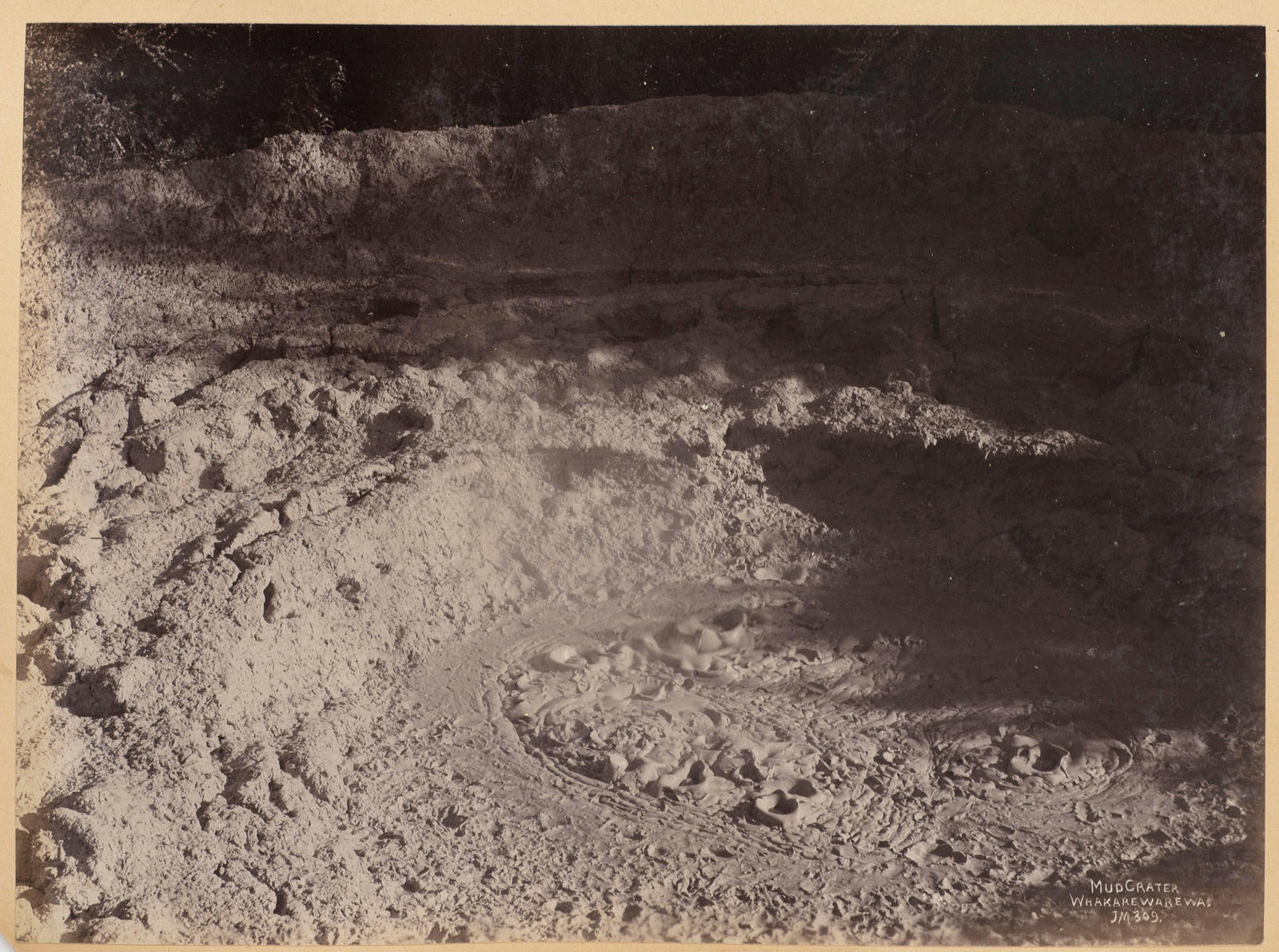 Mud crater, Whakarewarewa