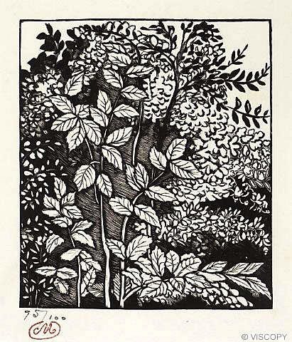 Study of Shrubs