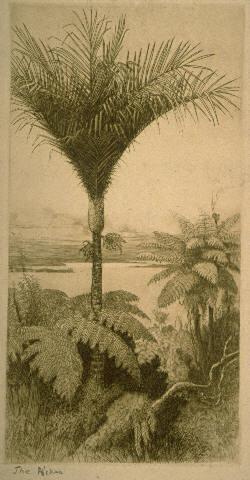 The Nikau