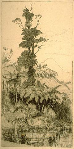Cabbage Tree and Stream
