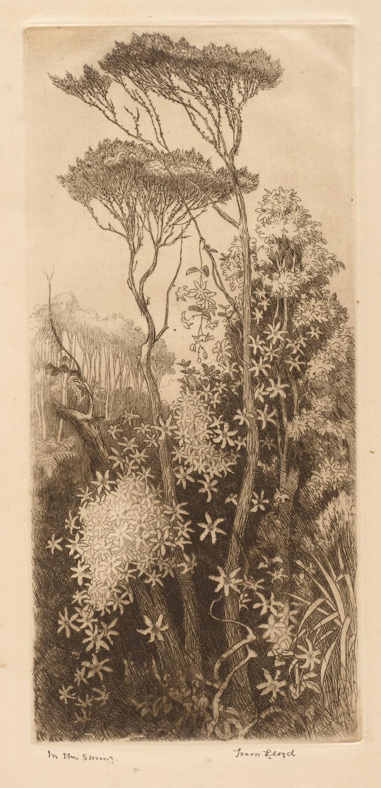 In the Spring