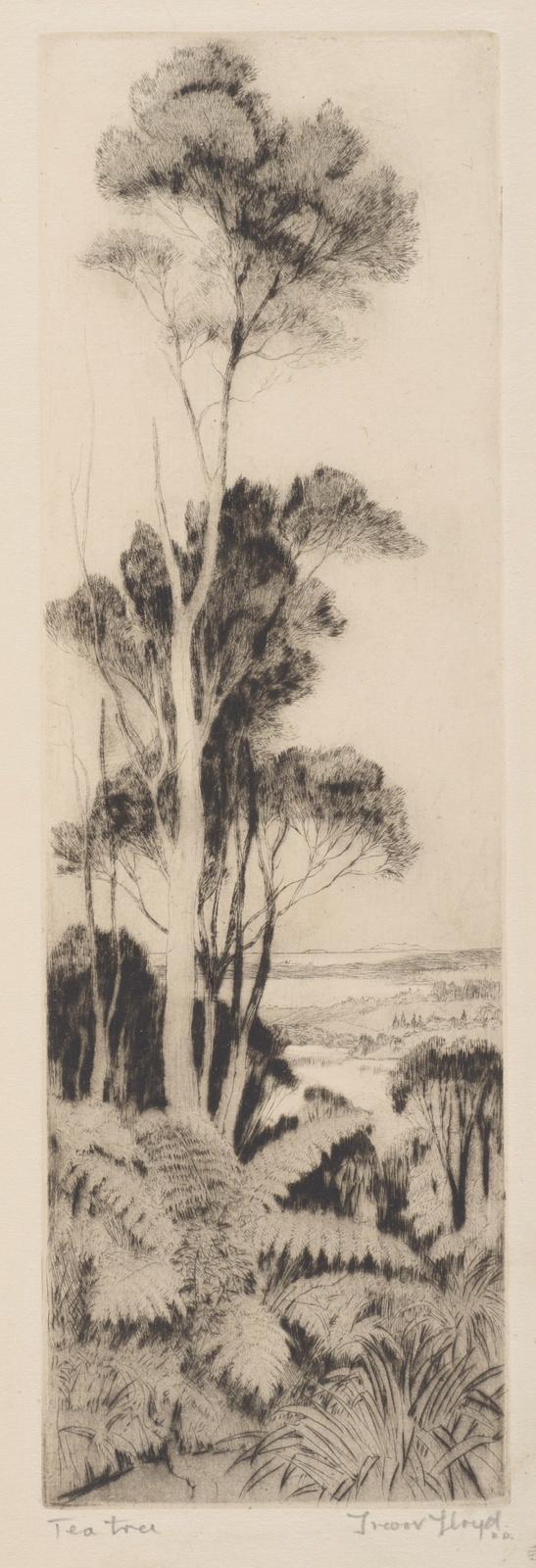 Tea Tree