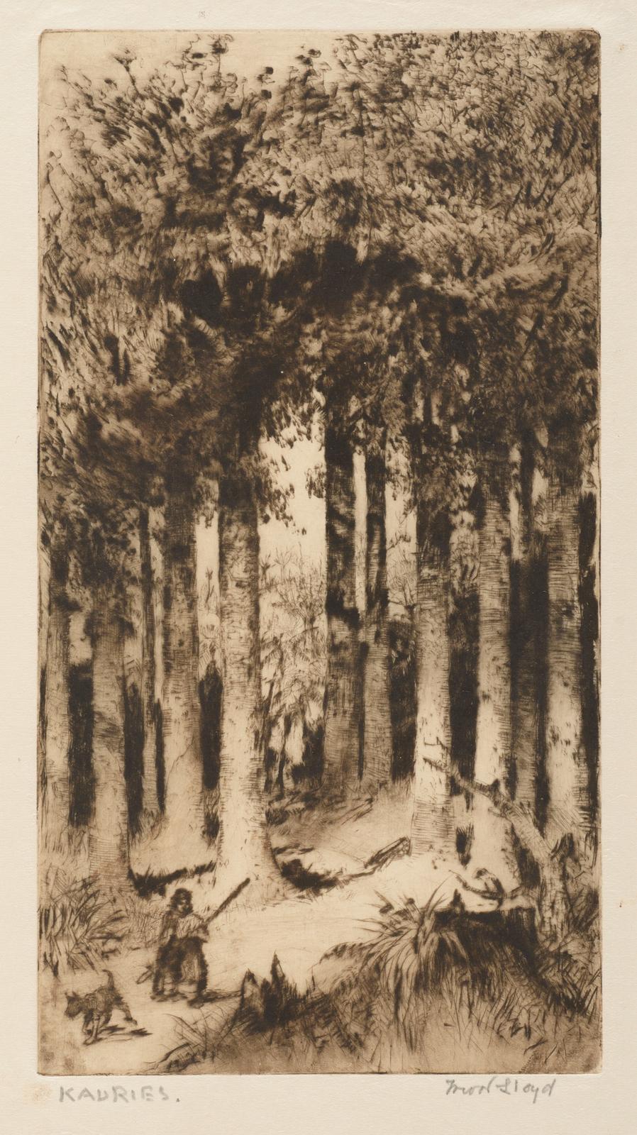 Kauries