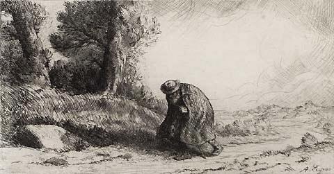The Wayfarer