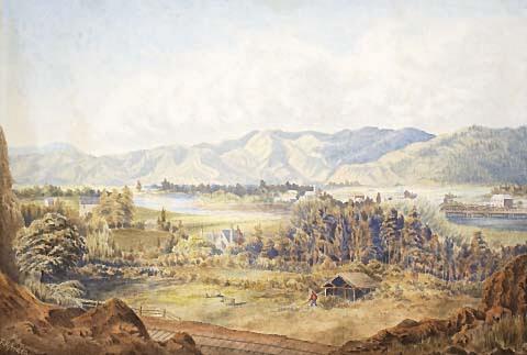 Landscape in the Hutt Valley