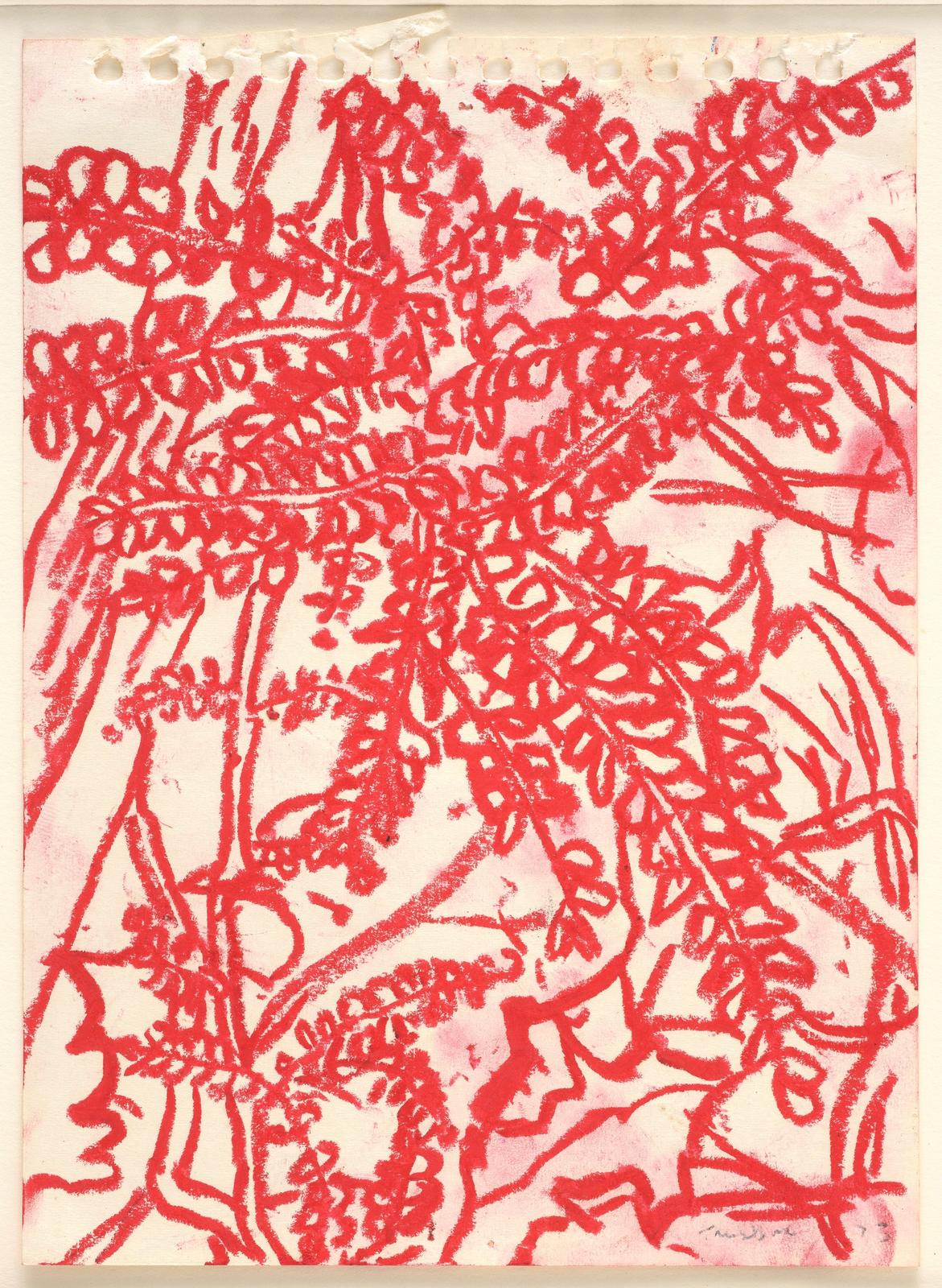 Study of Foliage