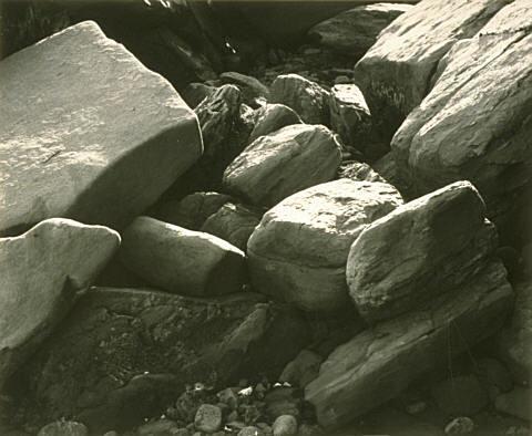 Mill Bay, Manukau Harbour