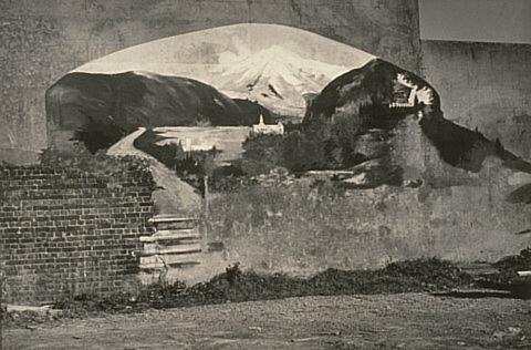 Beer Garden Wall, Wellington