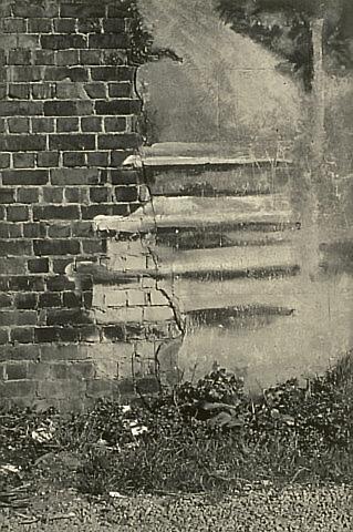 Beer Garden Wall, Wellington (detail)
