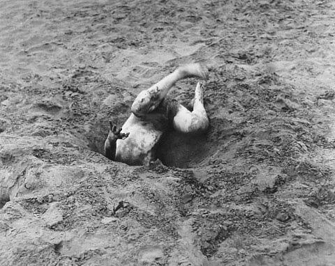 The Dive