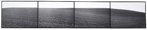 Timaru Landscape
