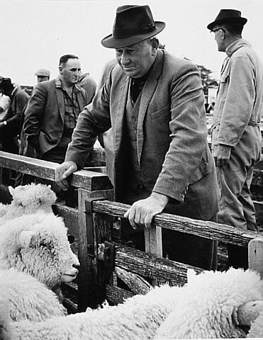 Lorneville Saleyards, Invercargill