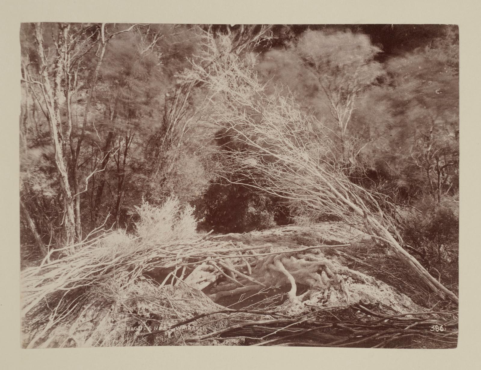 Eagle's nest, Wairakei
