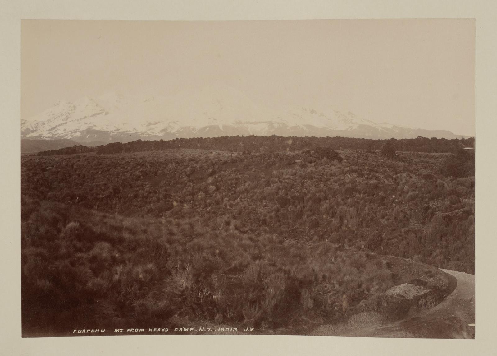 Ruapehu Mountain from Keays camp