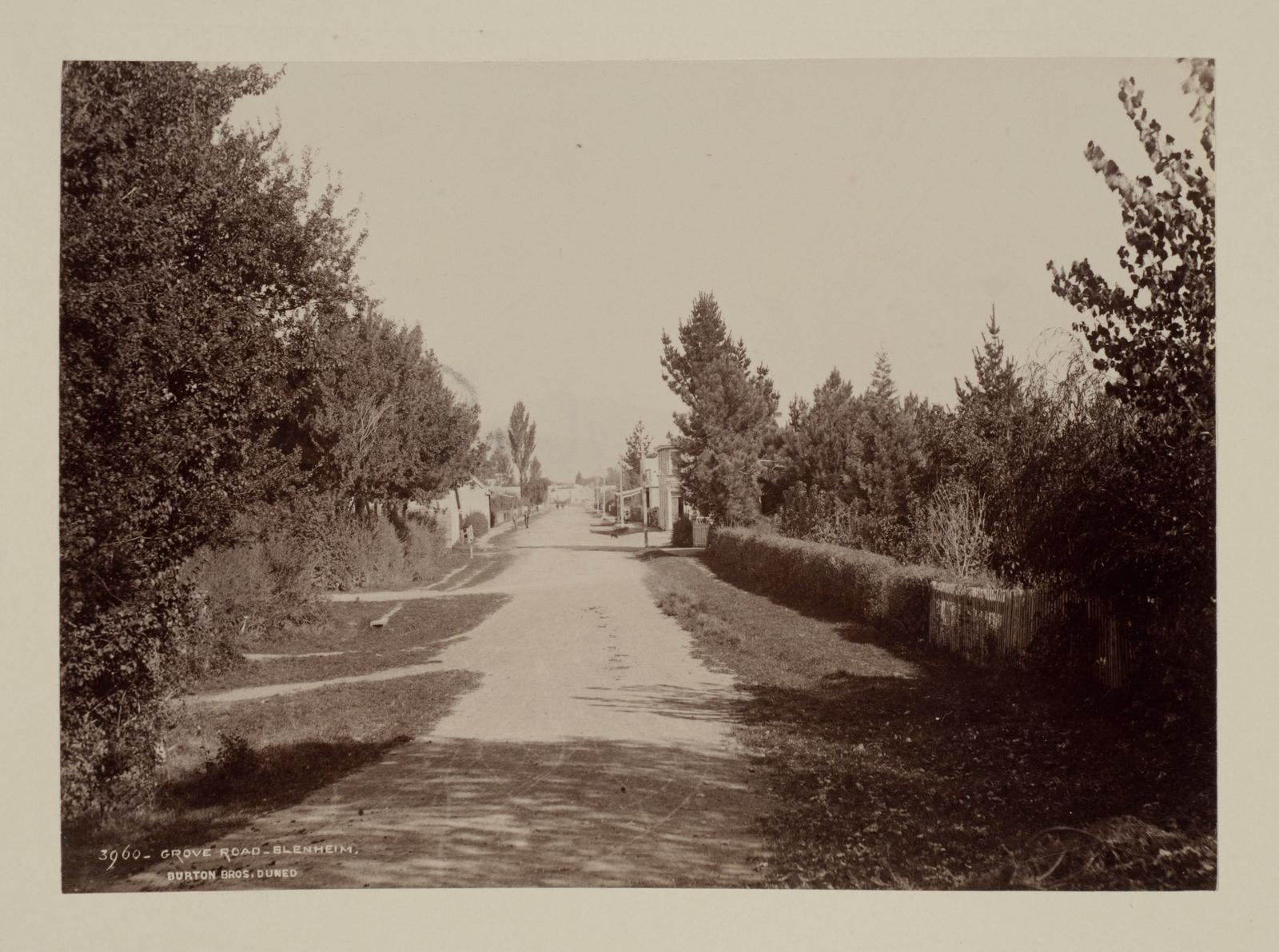 Grove Road, Blenheim