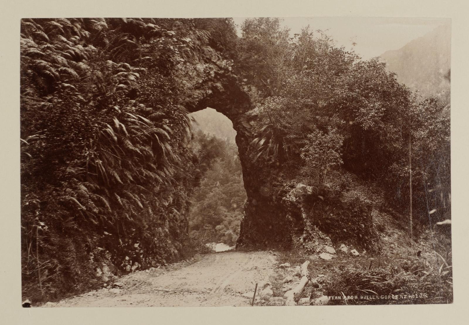 Fern Arch, Buller Gorge