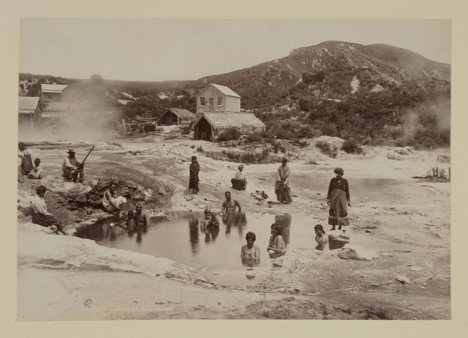 The Ngawhas - Whakarewarewa