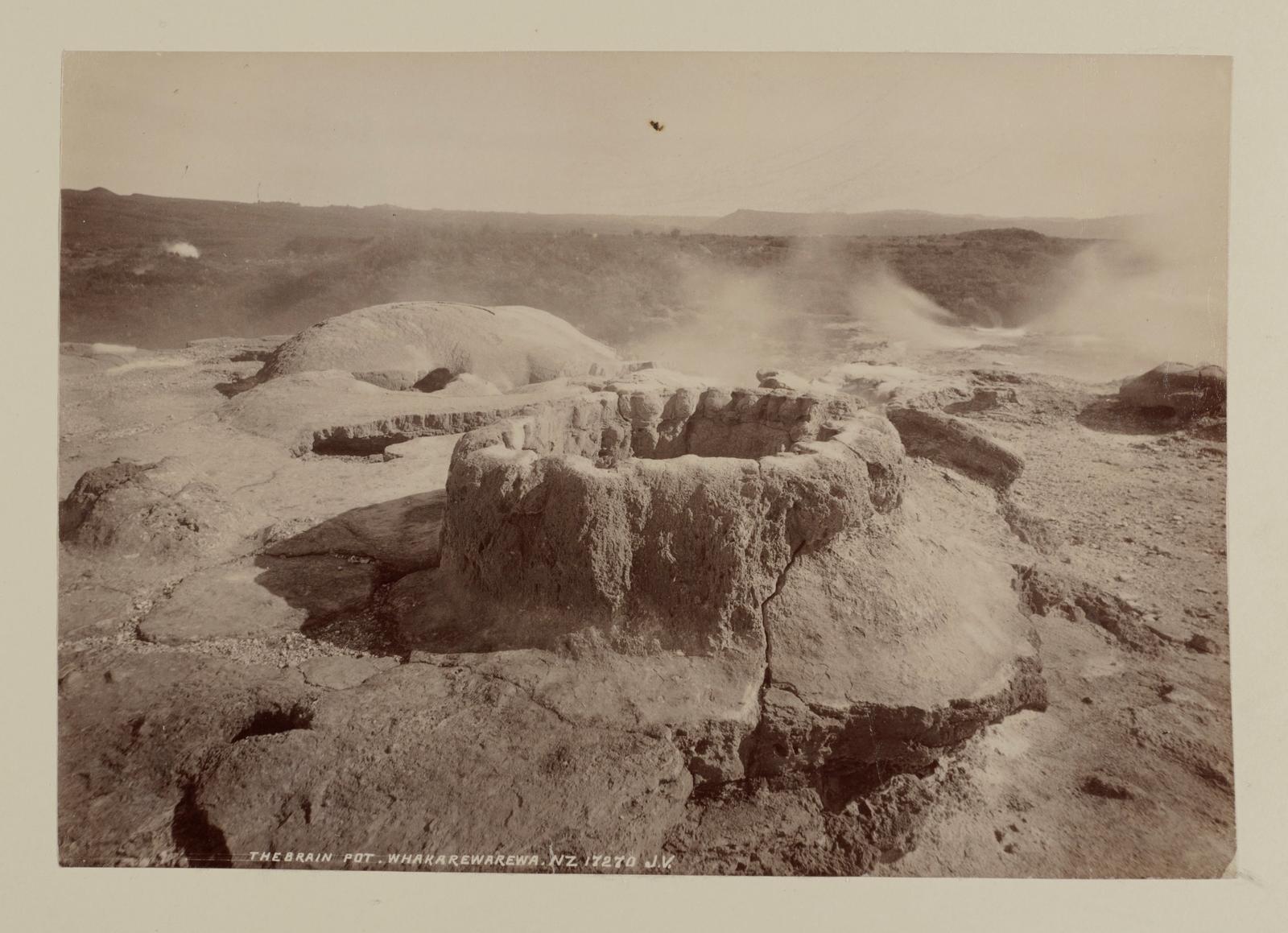 The Brain Pot, Whakarewarewa