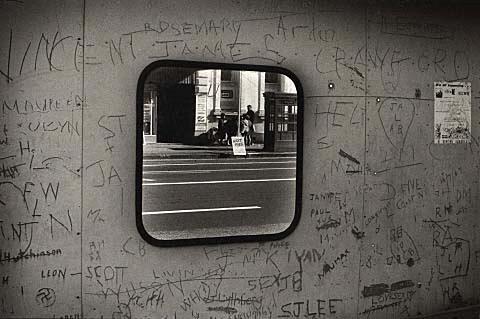 Bus Stop Graffiti, Auckland