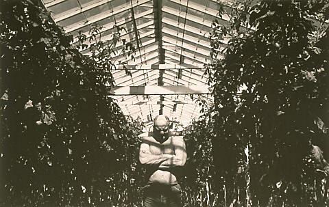 Untitled (Man in Glasshouse)