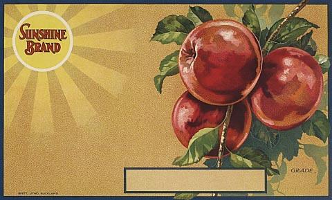 Sunshine Brand (trade label for apples)