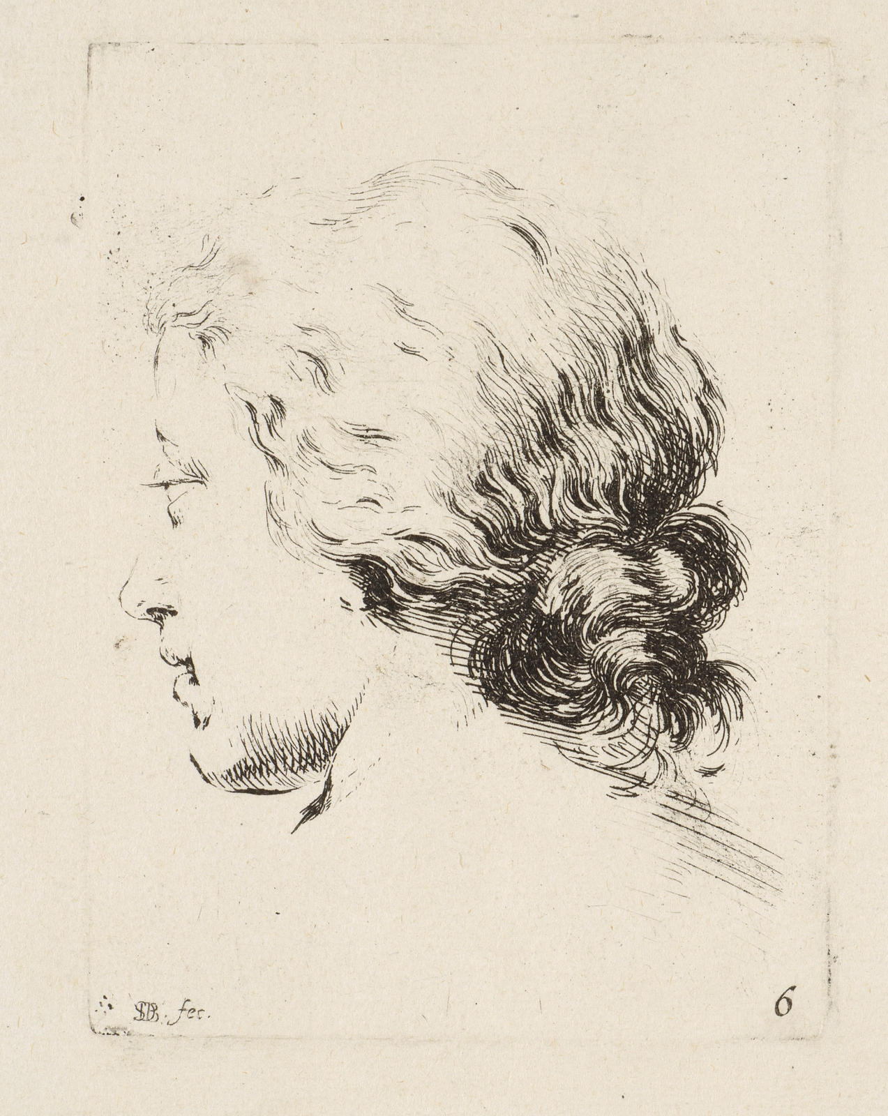 Woman's Head and Shoulders viewed from Behind