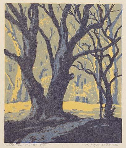 Winter Sunshine