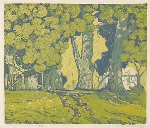 Sunlit Clearing