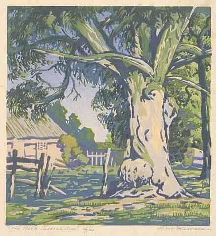 The Stable Paddock Gum