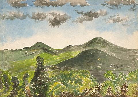 Te Ahu Ahu, Ohaeawai