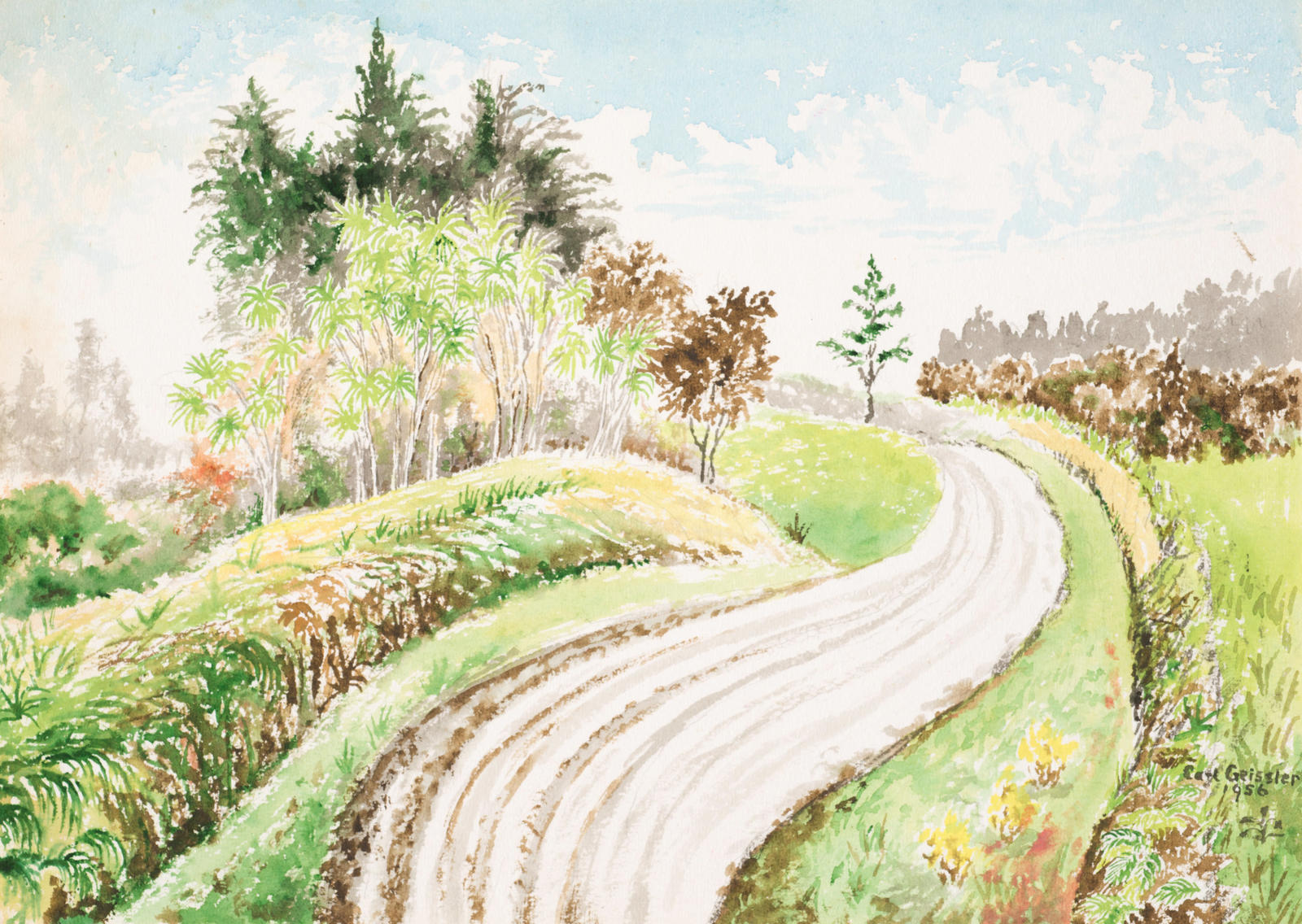 Untitled (Cabbage trees by a road) 1956