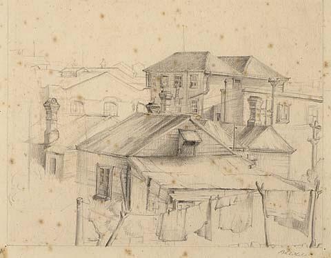 Auckland: houses with washing on the line