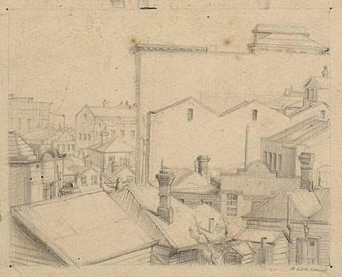 Auckland: houses and commercial buildings