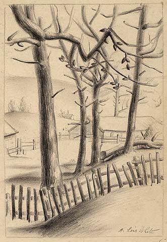 Trees and Fence