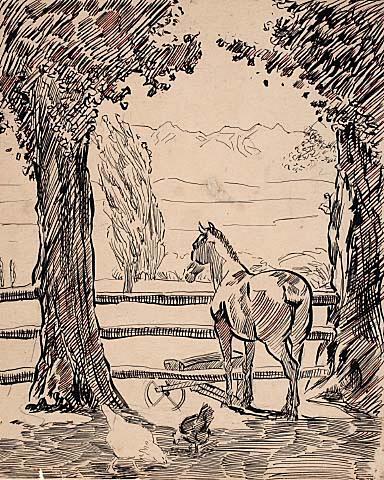 Horse Looking Over Fence