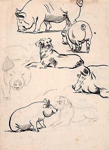 Sketches of Pigs and Dogs