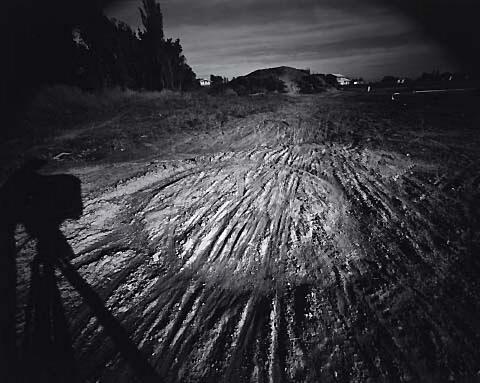 Untitled (Takamatua, Banks Peninsula, 1978)