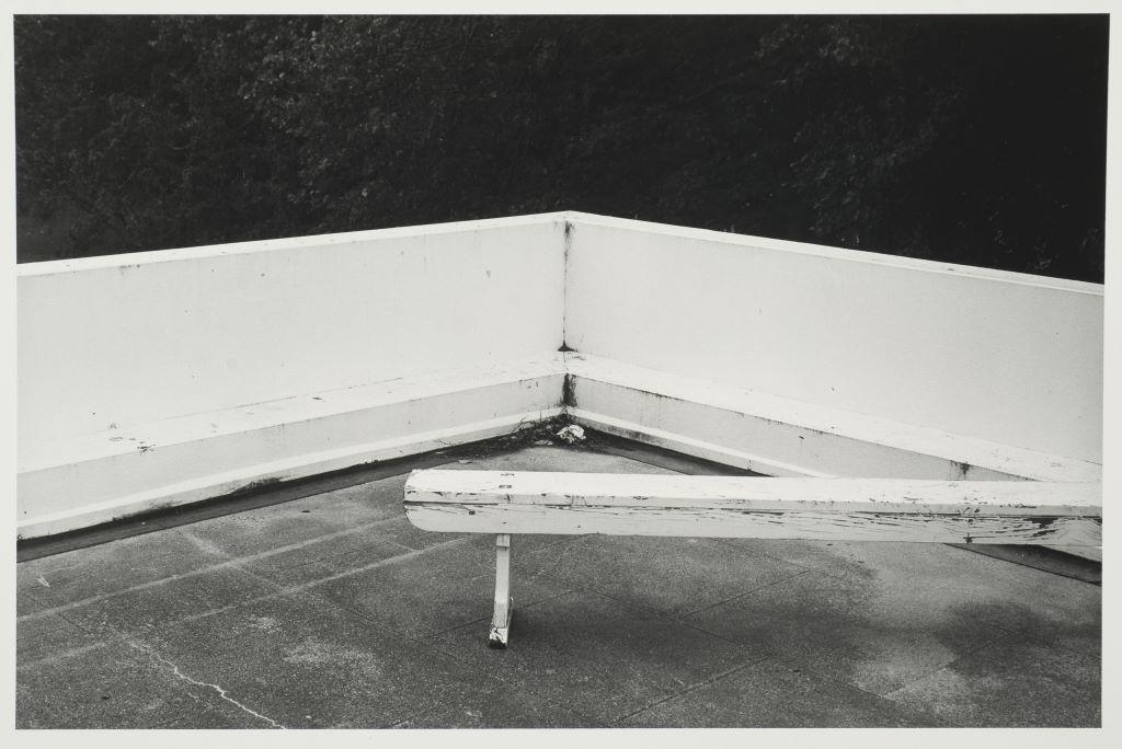 Roof, Dunedin