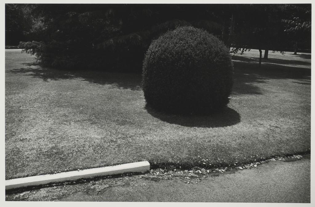 Waimate Hospital Grounds