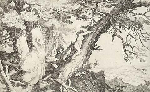 Boy climbing a tree (no.7)