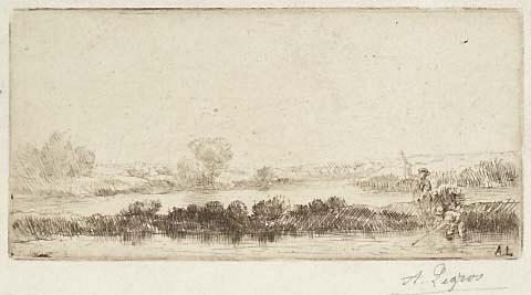 Paysage de Toubieres: Dans les marais (in the marshes)