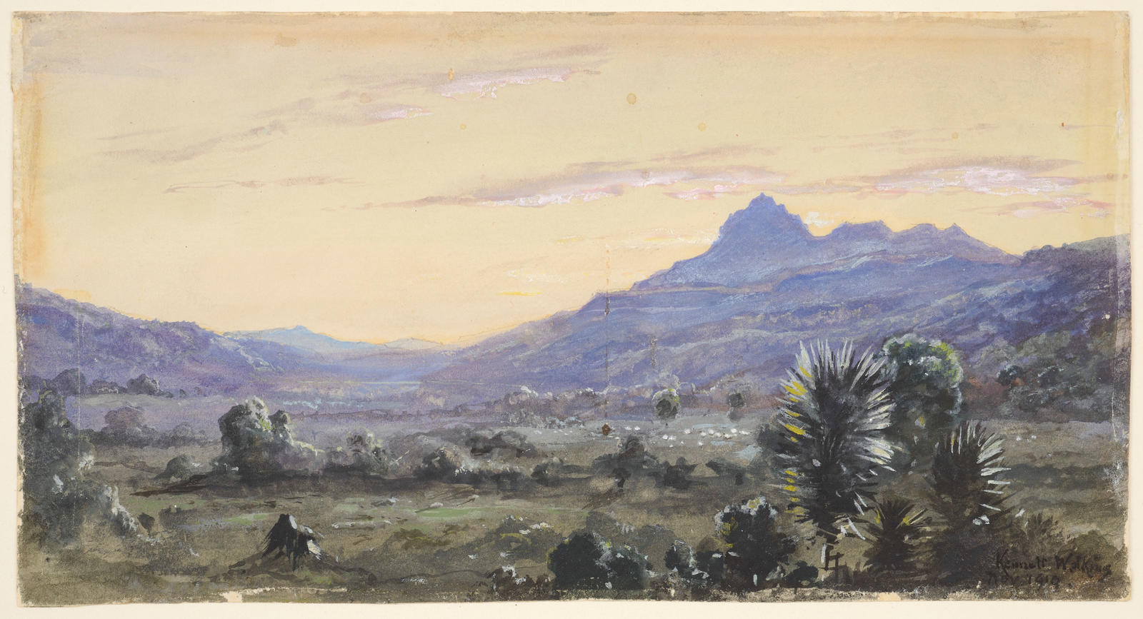 Taitai, Tapuaeroa Valley, East Coast